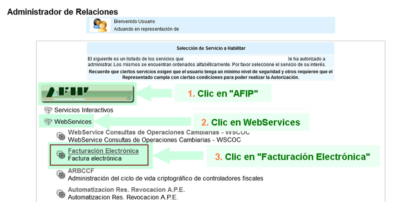 Sitio Web de AFIP